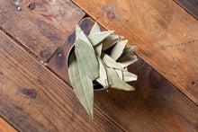 Bay Leaves Rafi's Spicebox