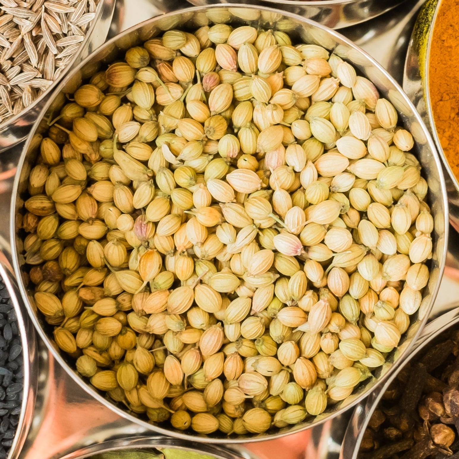 Coriander Seeds